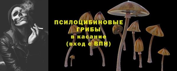 гидропоника Каменск-Шахтинский