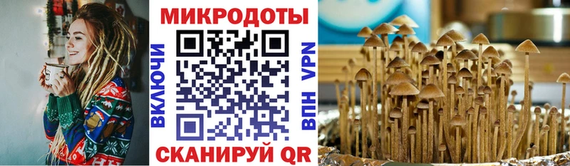 Галлюциногенные грибы ЛСД  Купить  Ейск 